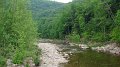 Loyalsock Senic3